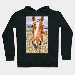 Why The Long Face?  - Graphic 2 Hoodie